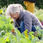 Младите заминуваат, пензионерите се фаќаат за мотика