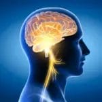 Ново откритие: Мозокот ја задржува свеста со часови по смртта